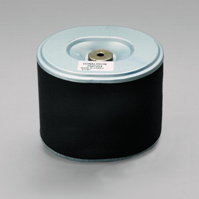 Donaldson Air Filter P607254