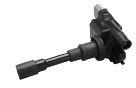 Goss Ignition Coil C302