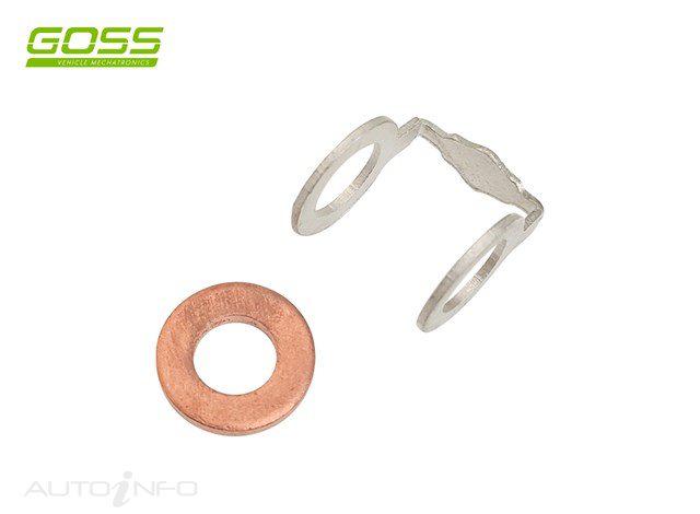 Goss Diesel Injector Washer Kit DWK300
