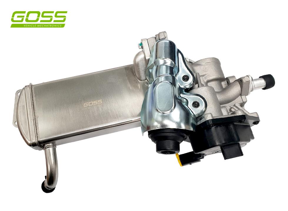 Goss EGR Valve EV149
