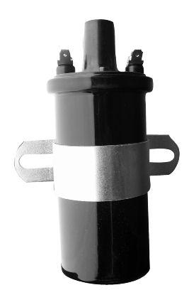 Goss Ignition Coil C173