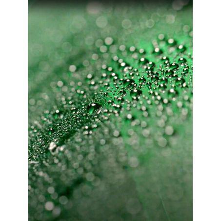 Gyeon Q2 Wax 116118