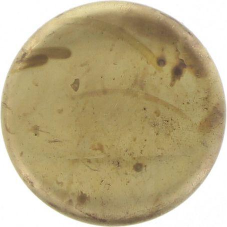 Kelpro Welch Plug Cup 2-1/16in. Brass RBC20116