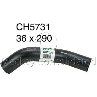 Mackay Radiator Hose Bottom CH5731