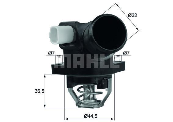 MAHLE Thermostat & Housing TM 32 103