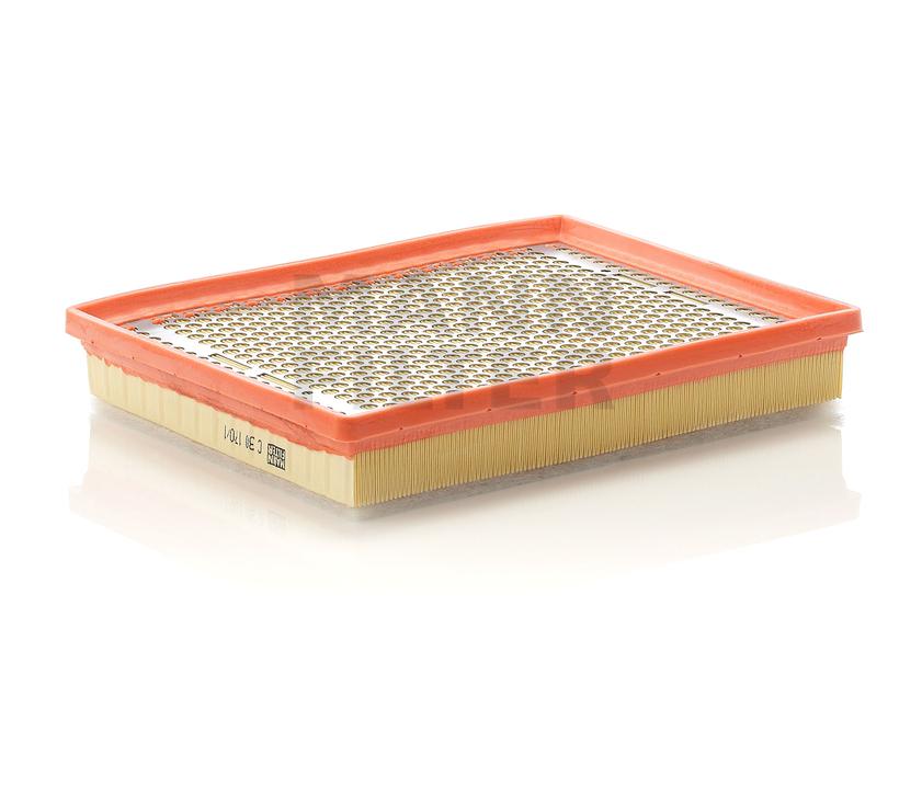 MANN Air Filter C30170/1