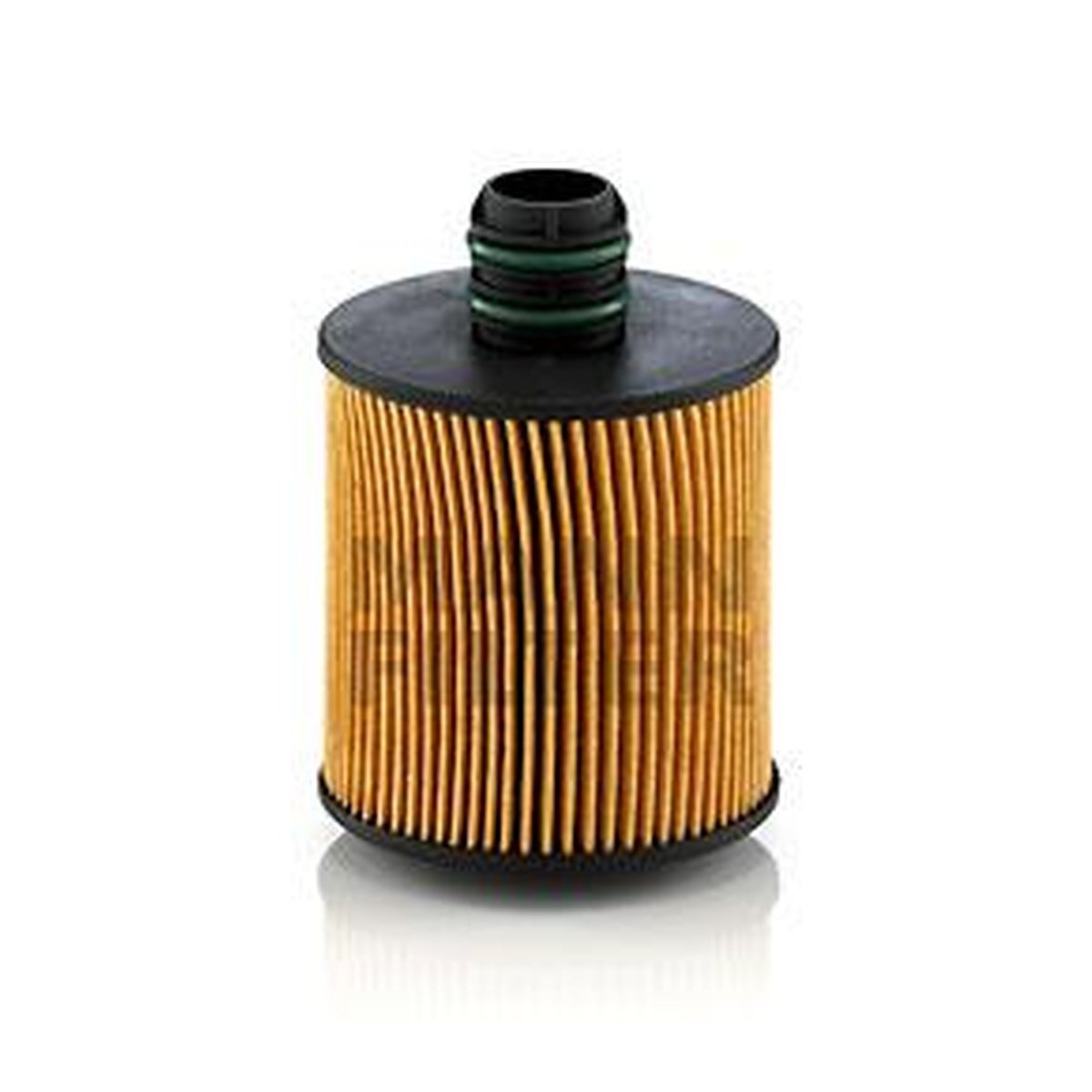 MANN Oil Filter HU8006z