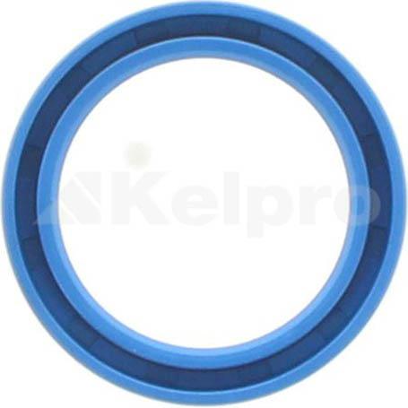 Kelpro Oil Seal 97171