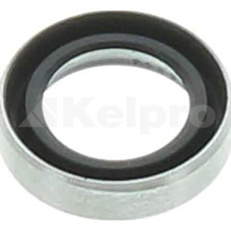 Champion Ignition Lead Set CH4428S