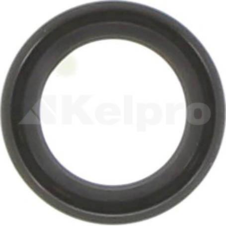 Kelpro Oil Seal 97667