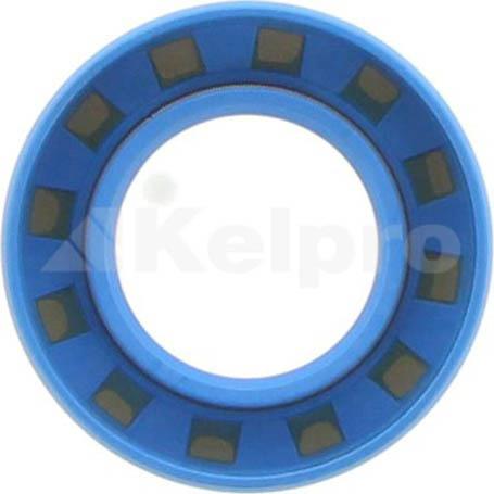 Kelpro Oil Seal 98219