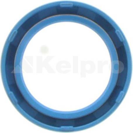 Kelpro Oil Seal 98228