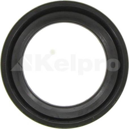 Kelpro Seal Kit-Timing    (Seals Only) KSK169