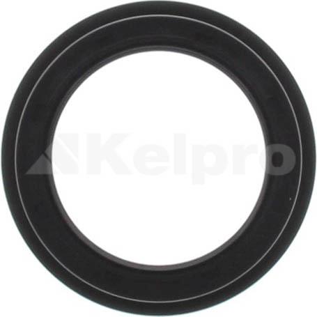 Kelpro Seal Kit-Timing (Seals Only) KSK220