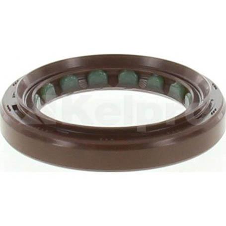 Kelpro Oil Seal 98299