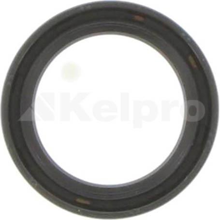 Kelpro Oil Seal 98520