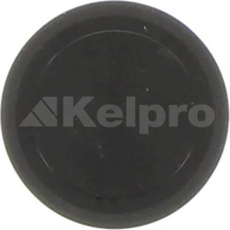 Kelpro Oil Seal 98703