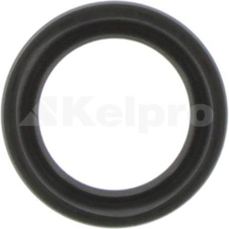 Kelpro Oil Seal 98789