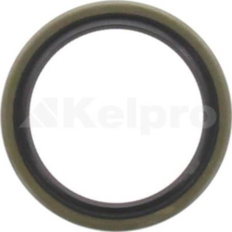 Kelpro Oil Seal 98825
