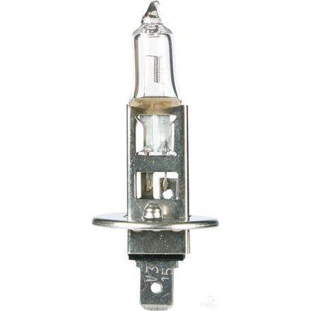 OEX H1 Globe 12V 55W P145S Season GLX16557