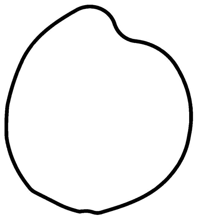 Permaseal Water Pump Gasket PB731
