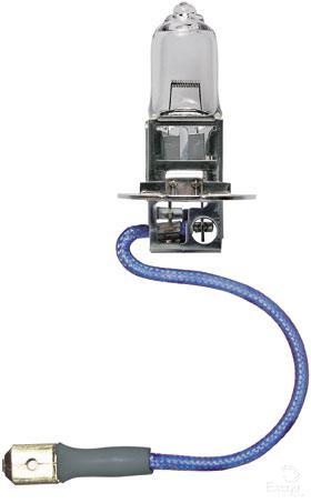Bosch Globe 12455