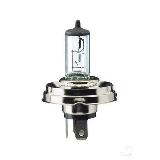 Philips Standard R2 Globe 24V 100/90W 24568