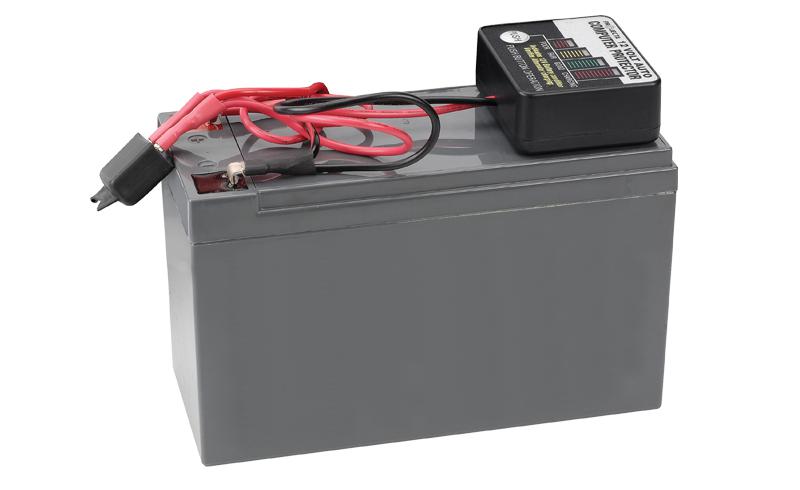 PROJECTA Electrical Memory Protector IPS700