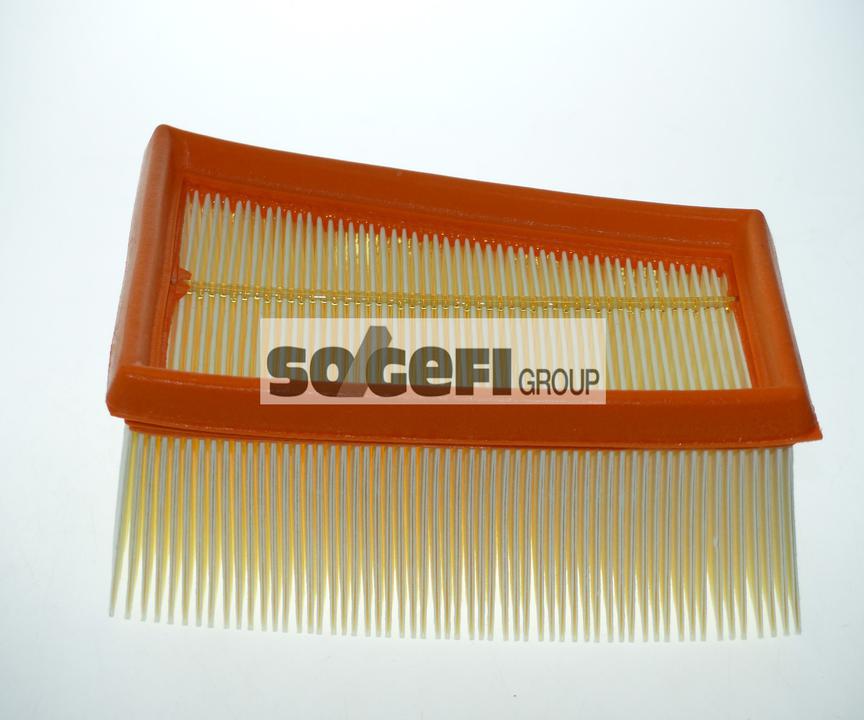 Purflux Air Filter A1231