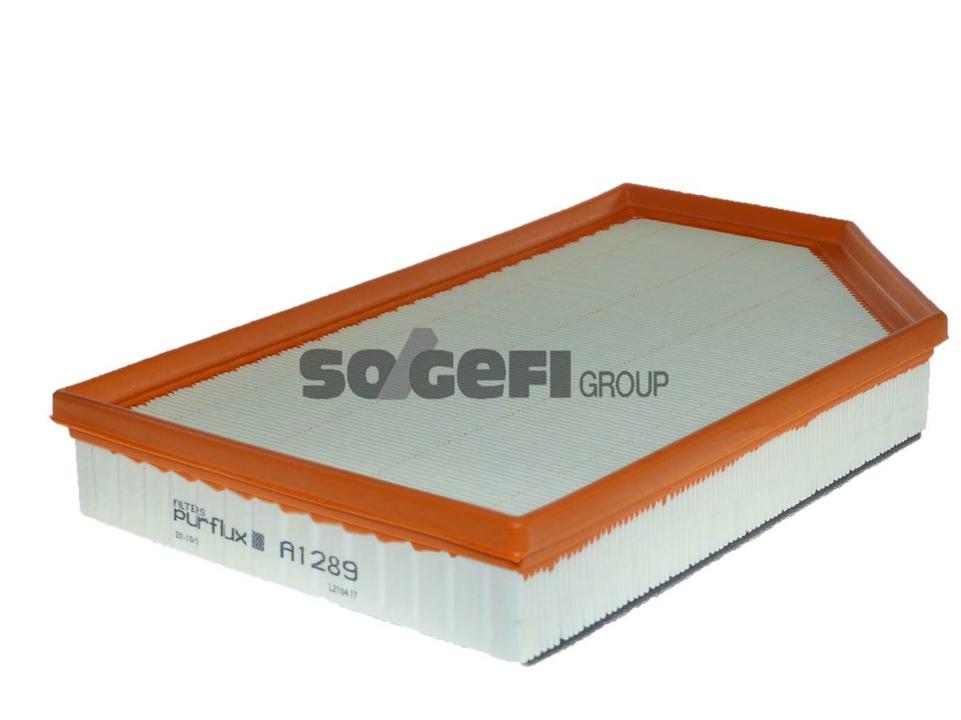 Purflux Air Filter A1289