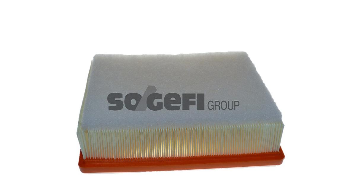 Purflux Air Filter 250x209x60mm A1789
