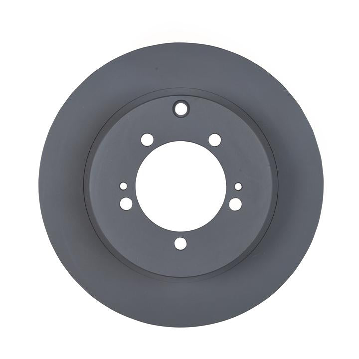 RDA OE Replacement Brake Rotor Single 300mm Rear RDA419