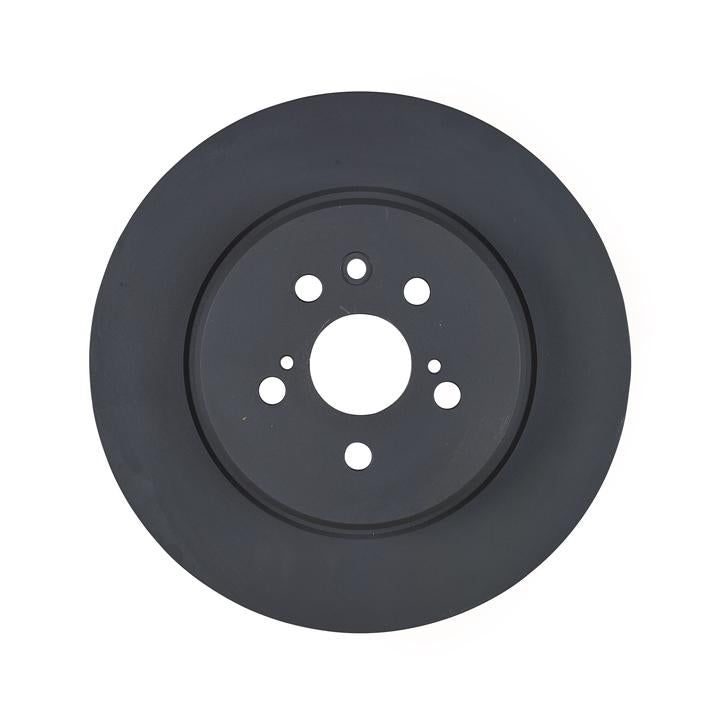 RDA OE Replacement Brake Rotor Single 315mm Rear RDA561