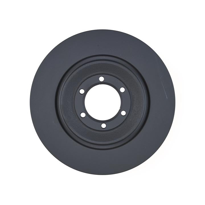 RDA OE Replacement Brake Rotor Single 250mm Rear RDA667