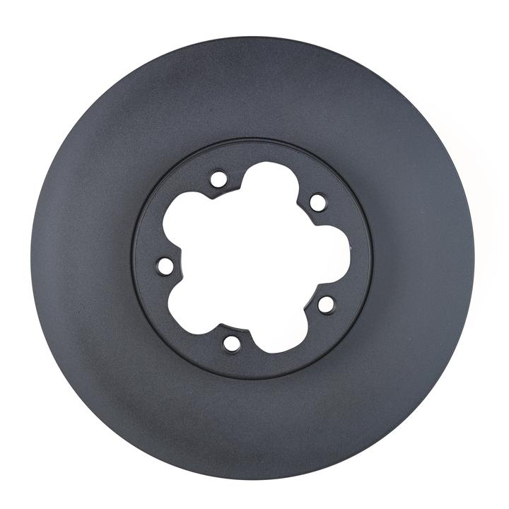 RDA OE Replacement Brake Rotor Single 300mm Front RDA7380