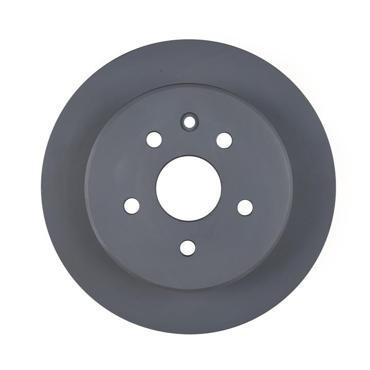 RDA OE Replacement Brake Rotor Single 307mm Rear RDA749