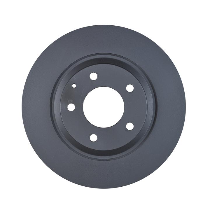 RDA OE Replacement Brake Rotor Single 300mm Rear RDA7943