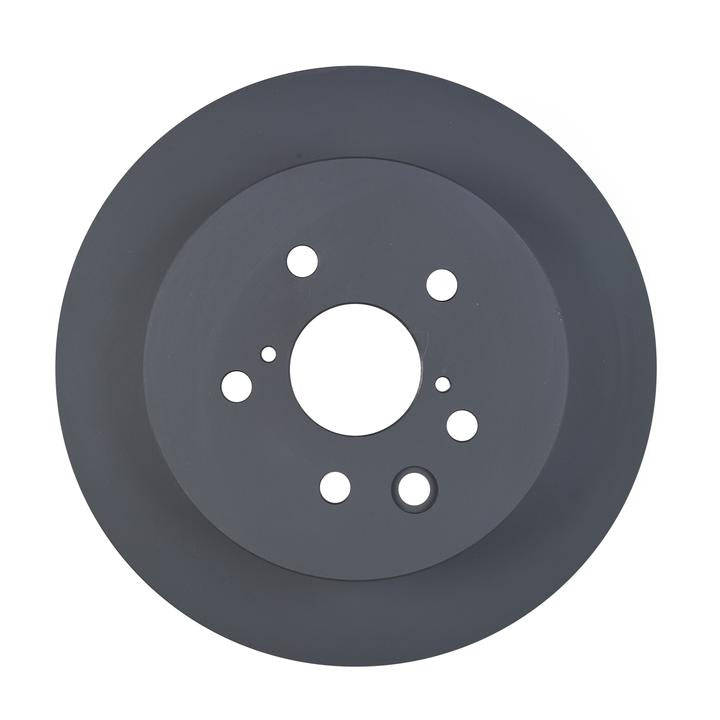 RDA OE Replacement Brake Rotor Single 310mm Rear RDA8027