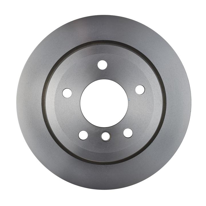RDA OE Replacement Brake Rotor Single 300mm Rear RDA8191