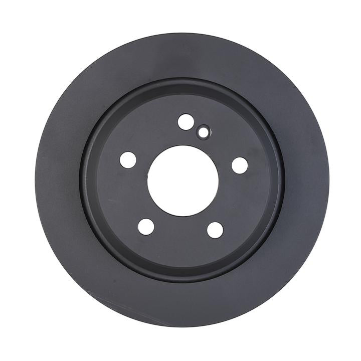 RDA OE Replacement Brake Rotor Single 300mm Rear RDA8243