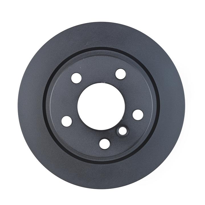 RDA OE Replacement Brake Rotor Single 290mm Rear RDA8296