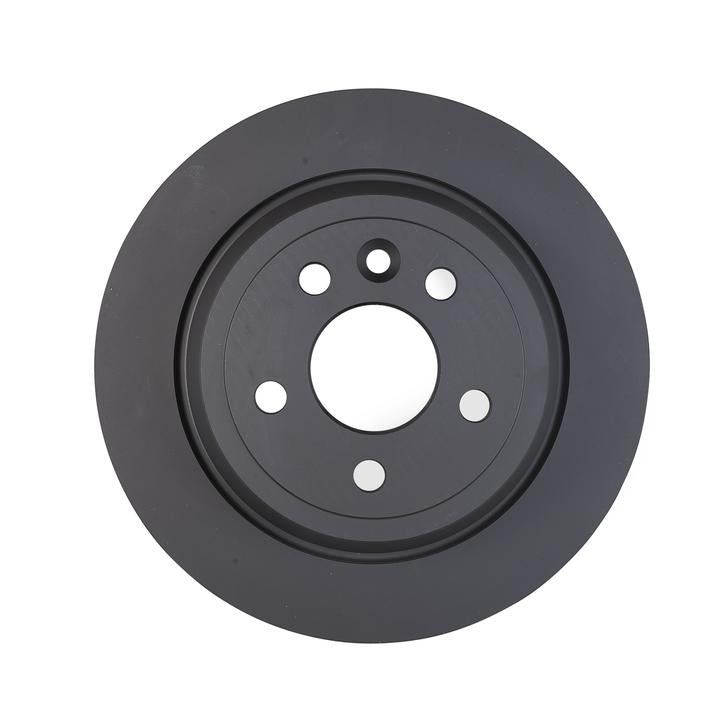 RDA OE Replacement Brake Rotor Single 302mm Rear RDA8409