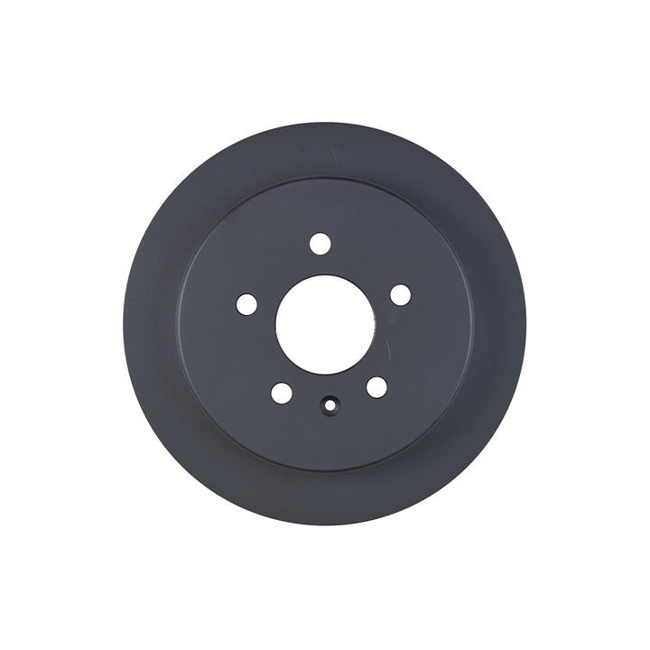 RDA OE Replacement Brake Rotor Single 285mm Rear RDA8416