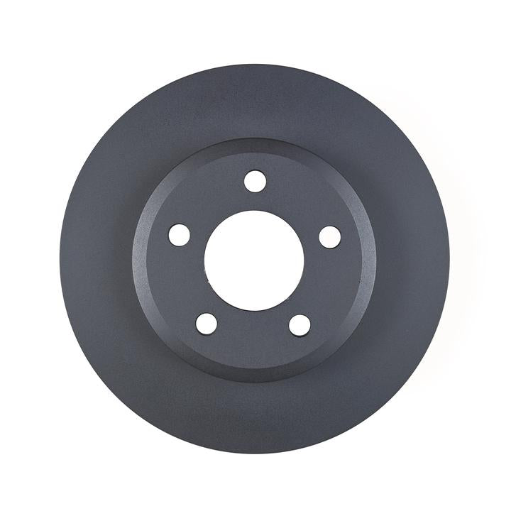 RDA OE Replacement Brake Rotor Single 298mm Front RDA504