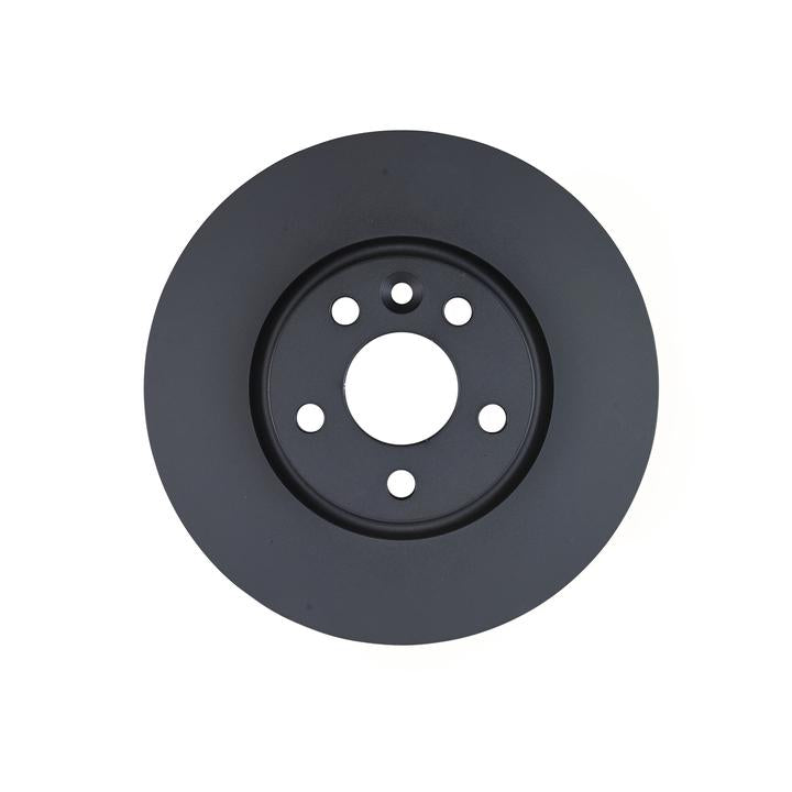 RDA OE Replacement Brake Rotor Single 300mm Front RDA7441