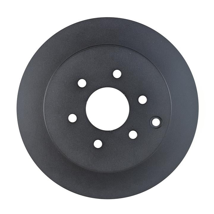 RDA OE Replacement Brake Rotor Single 308mm Rear RDA7661
