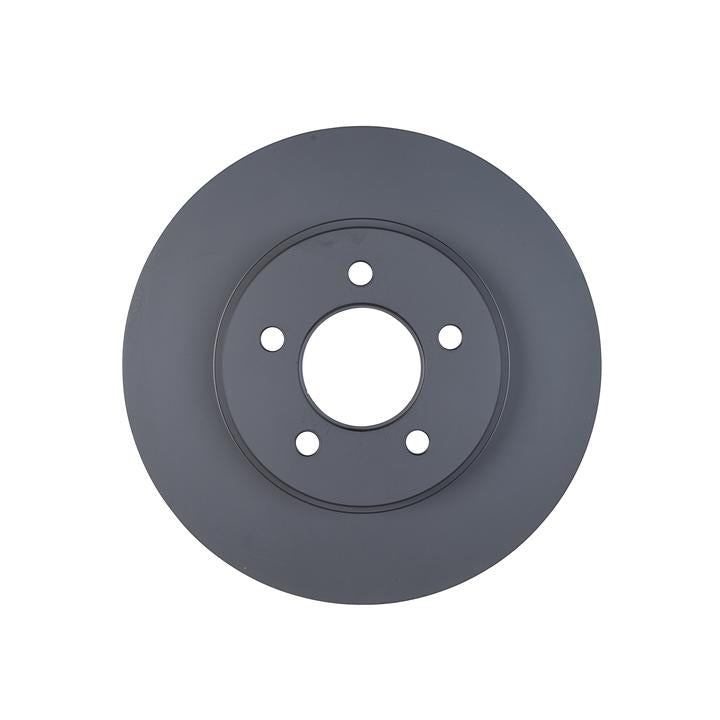 RDA OE Replacement Brake Rotor Single 303mm Front RDA7668