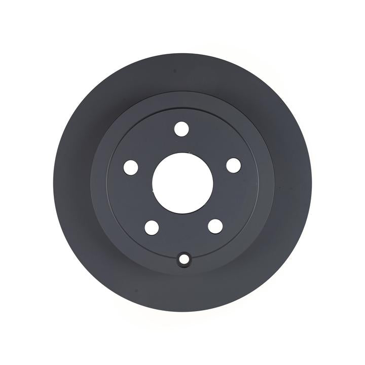 RDA OE Replacement Brake Rotor Pair 302mm Rear RDA7902