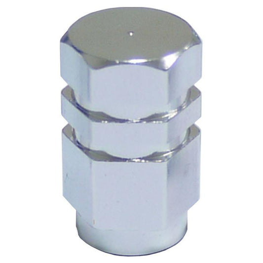 SAAS Valve Caps (5 Pack) Silver 194225