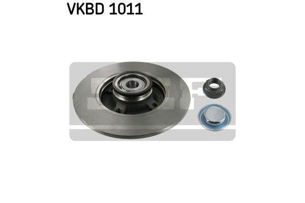 SKF Brake Rotor w/ Bearing 249mm Rear VKBD 1011